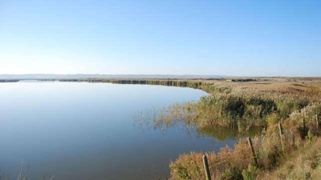 Tiny Bikini, Ault, Baie De Somme, 200 M De La Mer Buitenkant foto